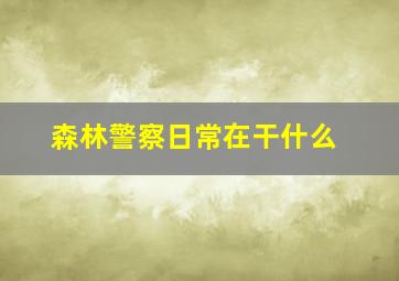 森林警察日常在干什么