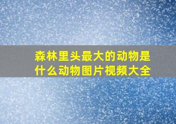 森林里头最大的动物是什么动物图片视频大全