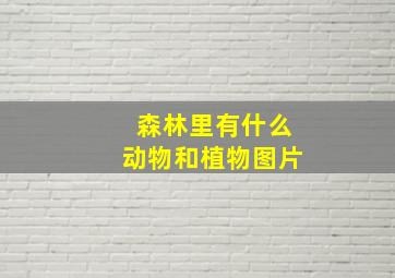 森林里有什么动物和植物图片