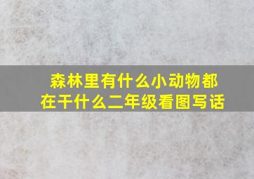 森林里有什么小动物都在干什么二年级看图写话