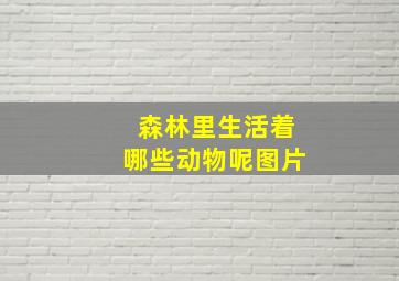 森林里生活着哪些动物呢图片