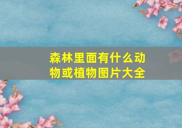 森林里面有什么动物或植物图片大全