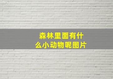 森林里面有什么小动物呢图片