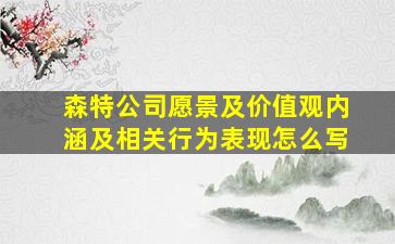 森特公司愿景及价值观内涵及相关行为表现怎么写