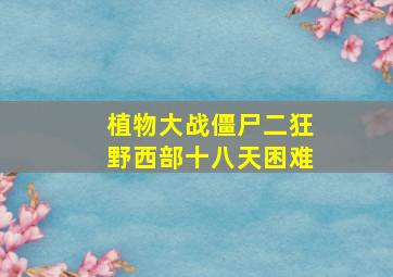 植物大战僵尸二狂野西部十八天困难