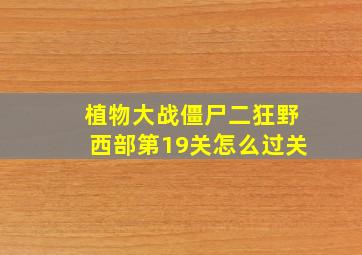 植物大战僵尸二狂野西部第19关怎么过关