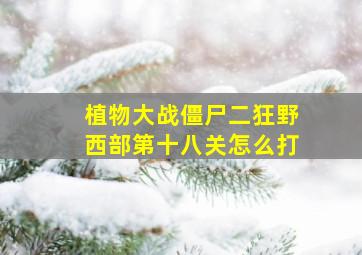 植物大战僵尸二狂野西部第十八关怎么打