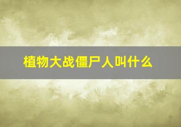 植物大战僵尸人叫什么