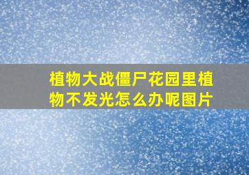 植物大战僵尸花园里植物不发光怎么办呢图片