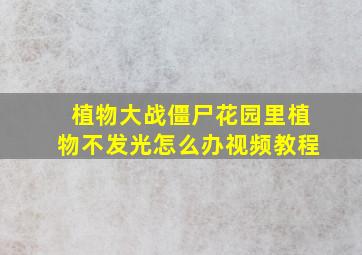 植物大战僵尸花园里植物不发光怎么办视频教程