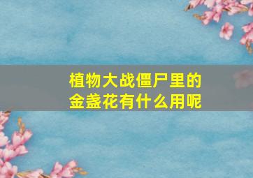 植物大战僵尸里的金盏花有什么用呢