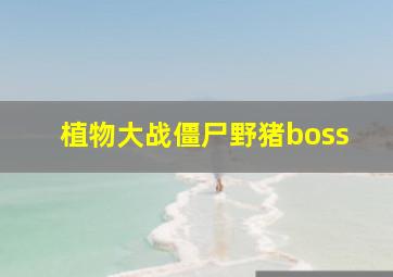 植物大战僵尸野猪boss