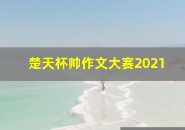 楚天杯帅作文大赛2021