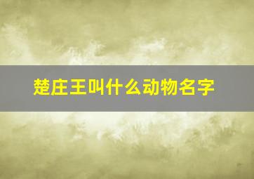 楚庄王叫什么动物名字