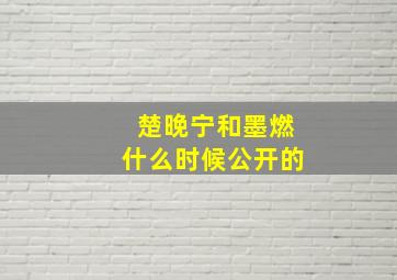 楚晚宁和墨燃什么时候公开的