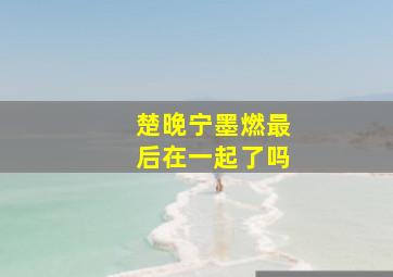 楚晚宁墨燃最后在一起了吗