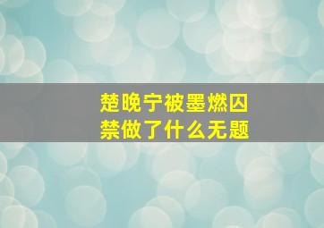 楚晚宁被墨燃囚禁做了什么无题