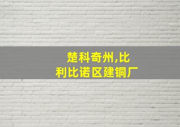 楚科奇州,比利比诺区建铜厂