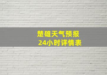 楚雄天气预报24小时详情表