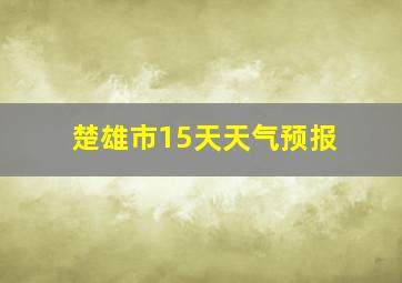 楚雄市15天天气预报