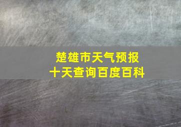 楚雄市天气预报十天查询百度百科