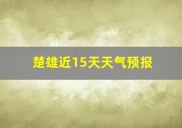 楚雄近15天天气预报