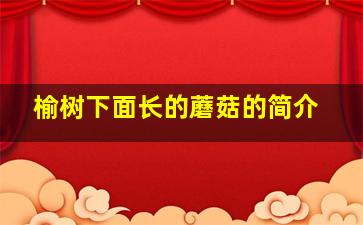 榆树下面长的蘑菇的简介