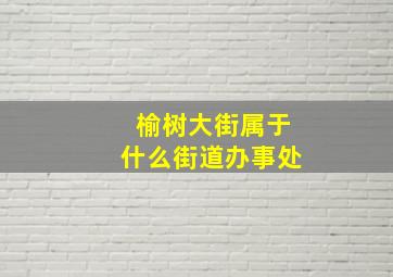 榆树大街属于什么街道办事处