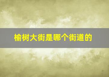 榆树大街是哪个街道的