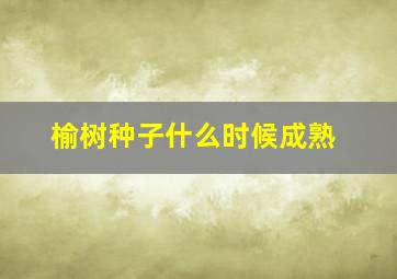 榆树种子什么时候成熟