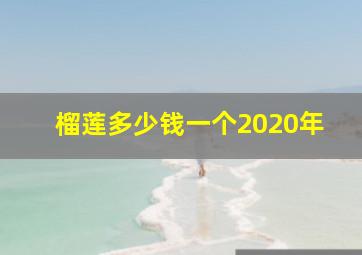 榴莲多少钱一个2020年