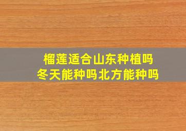 榴莲适合山东种植吗冬天能种吗北方能种吗