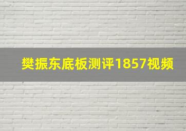 樊振东底板测评1857视频