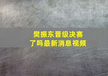 樊振东晋级决赛了吗最新消息视频