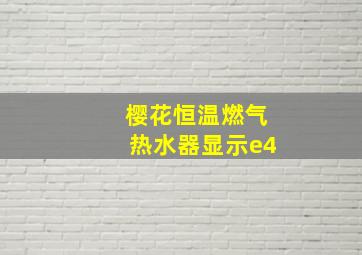 樱花恒温燃气热水器显示e4