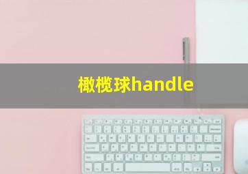 橄榄球handle