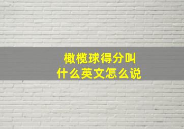 橄榄球得分叫什么英文怎么说