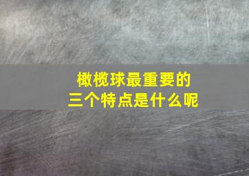 橄榄球最重要的三个特点是什么呢