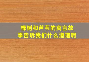 橡树和芦苇的寓言故事告诉我们什么道理呢