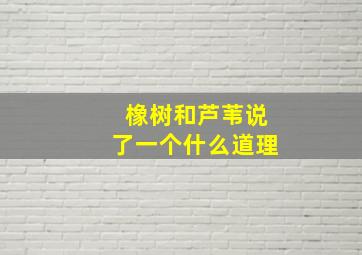 橡树和芦苇说了一个什么道理