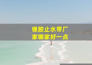 橡胶止水带厂家哪家好一点