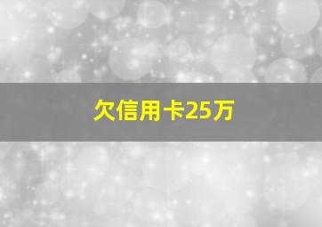 欠信用卡25万