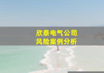 欣泰电气公司风险案例分析