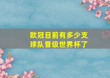 欧冠目前有多少支球队晋级世界杯了