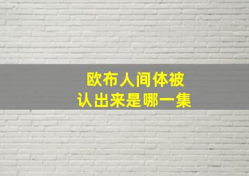 欧布人间体被认出来是哪一集