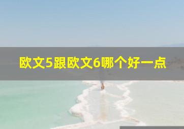 欧文5跟欧文6哪个好一点