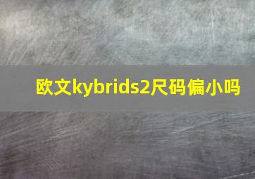 欧文kybrids2尺码偏小吗