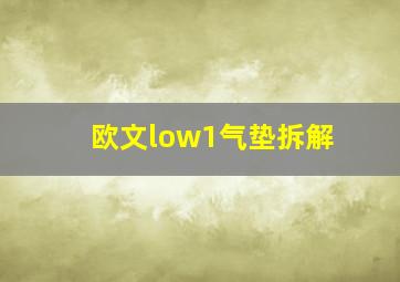 欧文low1气垫拆解