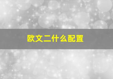 欧文二什么配置