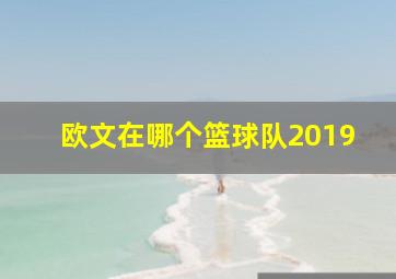 欧文在哪个篮球队2019